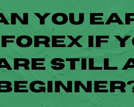 Can You Earn In Forex If You Are Still A Beginner?-justlittlethings.co.uk